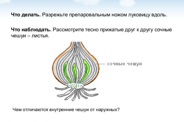 Зеркало кракен
